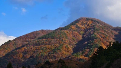 A long-lived mafic magma reservoir: Zircon evidence from a hornblende peridotite in the Hida Belt, Japan featured image